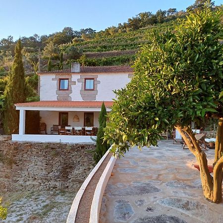 Country House Quinta Da Salgueira อลิโช ภายนอก รูปภาพ