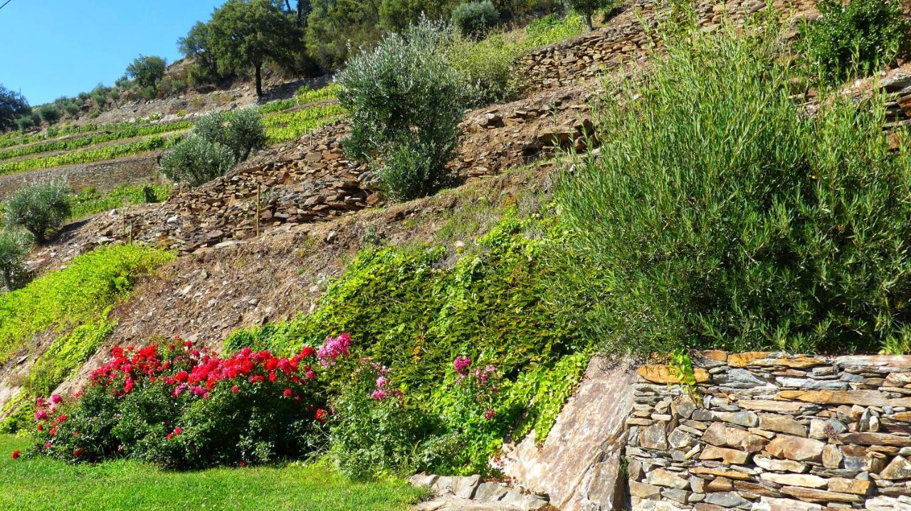 Country House Quinta Da Salgueira อลิโช ภายนอก รูปภาพ