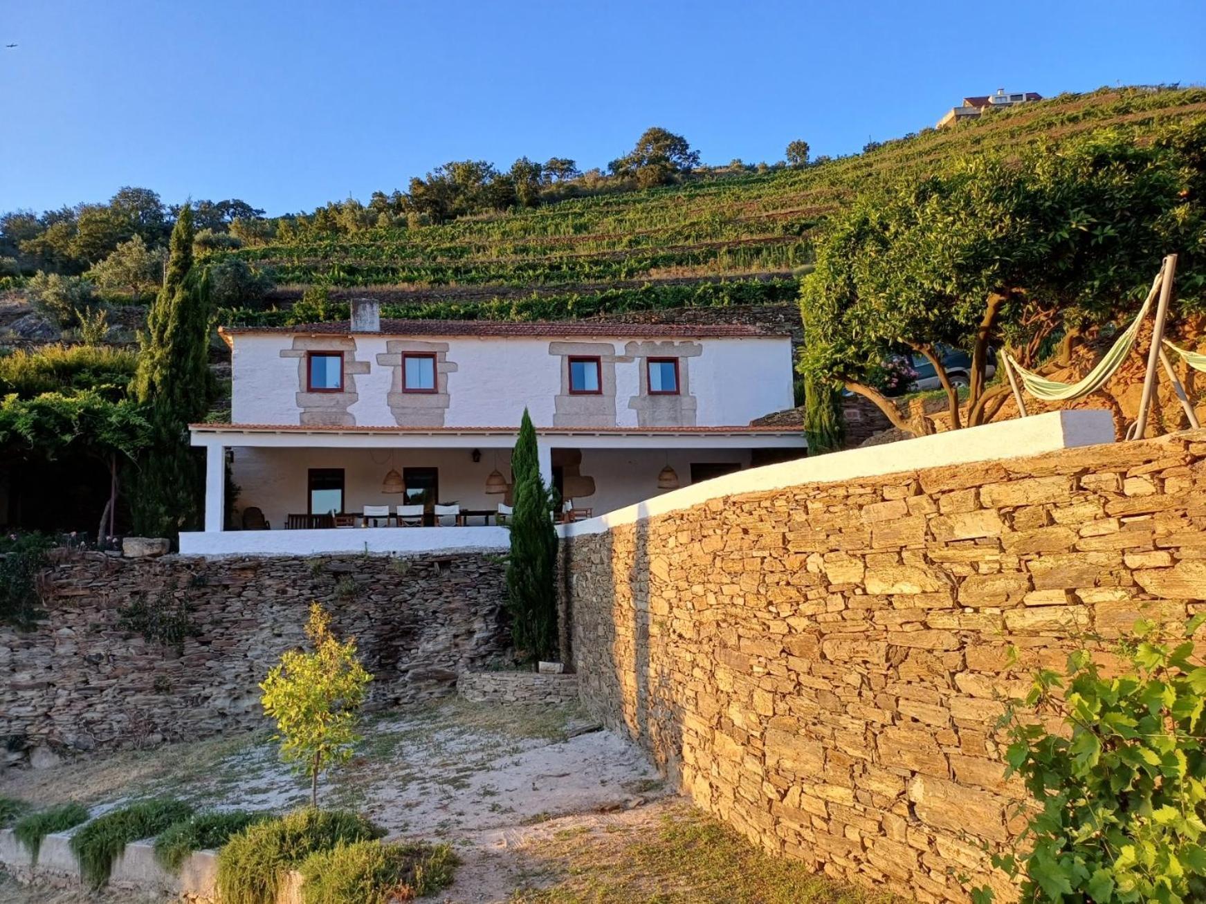 Country House Quinta Da Salgueira อลิโช ห้อง รูปภาพ